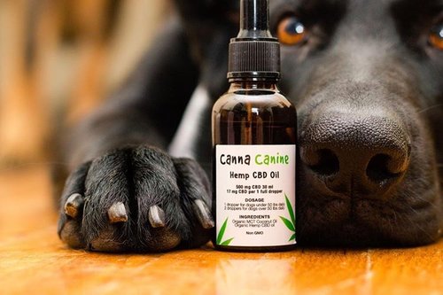 online cbd store 